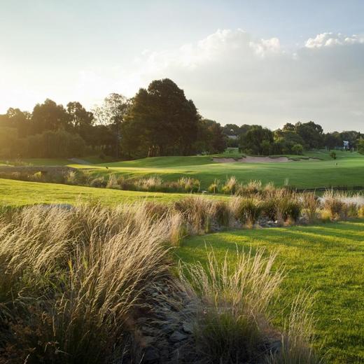 霍顿高尔夫俱乐部 Houghton Golf Club｜约翰内斯堡高尔夫｜南非高尔夫球场俱乐部｜非洲高尔夫 商品图1