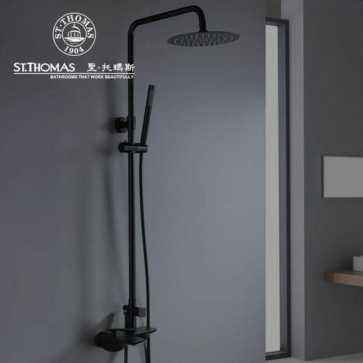 圣托玛斯-AF42259BR淋雨花洒 商品图0