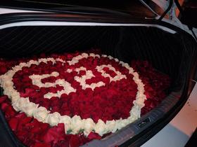 带字纯玫瑰后备箱惊喜布置