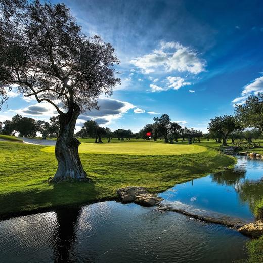 西玛金塔高尔夫球场 Quinta de Cima Golf Course | 法鲁高尔夫球场 | 葡萄牙高尔夫球场俱乐部 | 欧洲高尔夫 商品图5