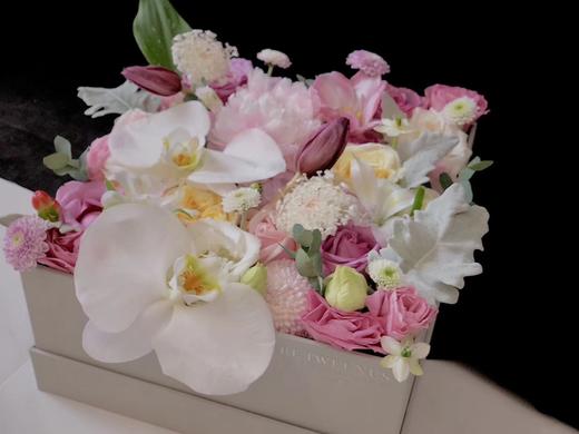 蝴蝶兰精品礼盒 商品图3