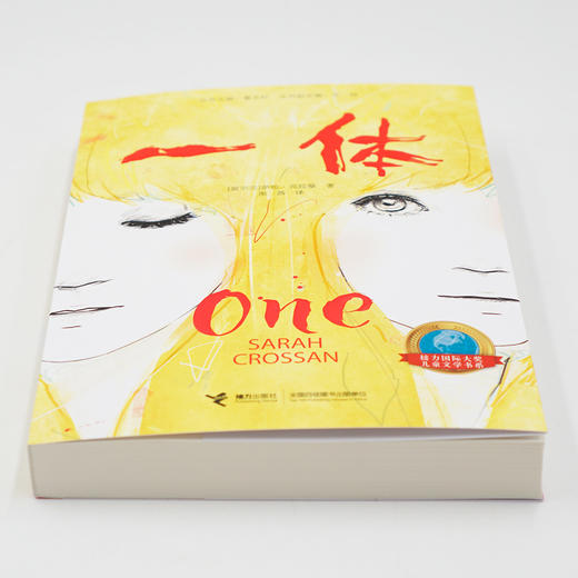 接力国际大奖儿童文学书系 一体 商品图1