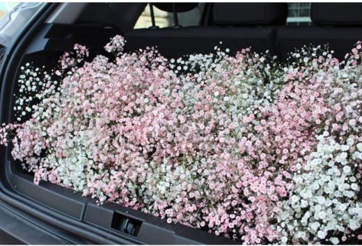 满天星后备箱惊喜布置 商品图2