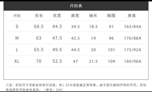 国内现货特价 Champion冠军 经典字母logo男士短袖T恤 灰色 商品图5