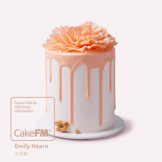 艾米莉  | Emily Hearn+ 商品图0