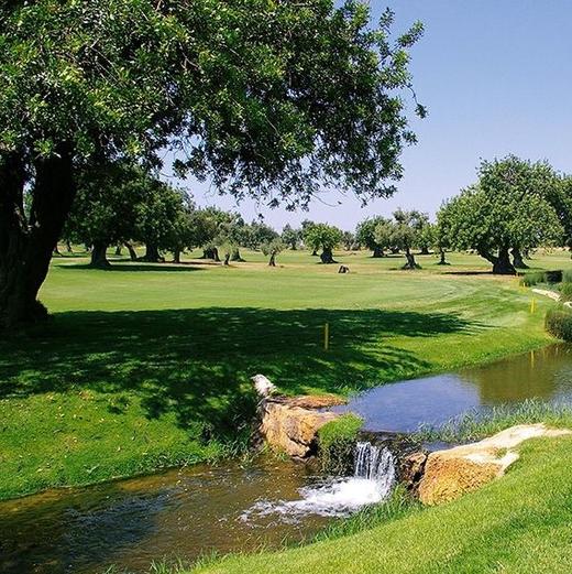 西玛金塔高尔夫球场 Quinta de Cima Golf Course | 法鲁高尔夫球场 | 葡萄牙高尔夫球场俱乐部 | 欧洲高尔夫 商品图1