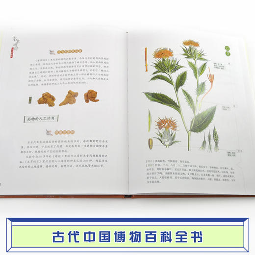 本草纲目 少儿彩绘版 古代中国的百科全书  万有文库 7-15岁适读 商品图3
