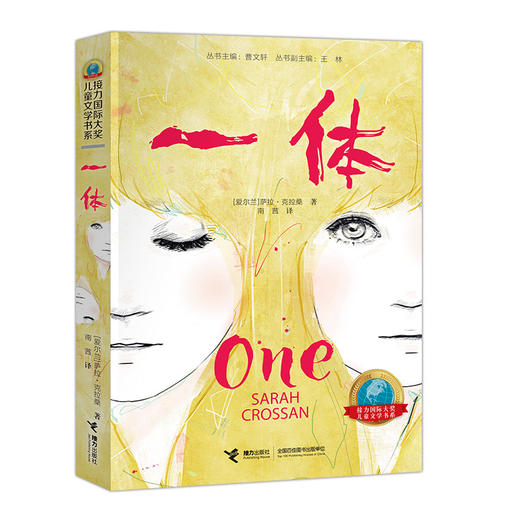 接力国际大奖儿童文学书系 一体 商品图0