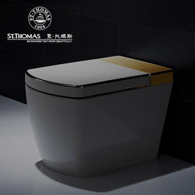 圣托玛斯-STC-9I智能马桶