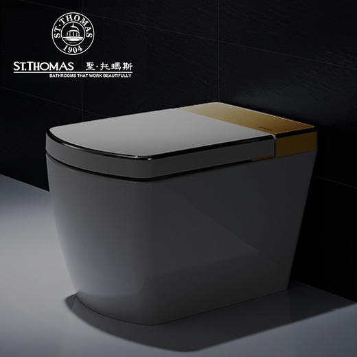 圣托玛斯-STC-9I智能马桶 商品图0