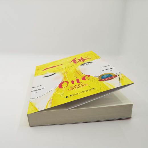 接力国际大奖儿童文学书系 一体 商品图2