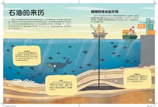 【2册】孤独星球 童书系列 给孩子的旅行书：地球 动物 商品图5