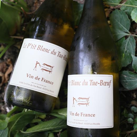 自然葡萄酒·小白（干白）| 公平贸易* Natural wine·Le Clos du Tue Boeuf (dry white) | Fair trade 商品图0