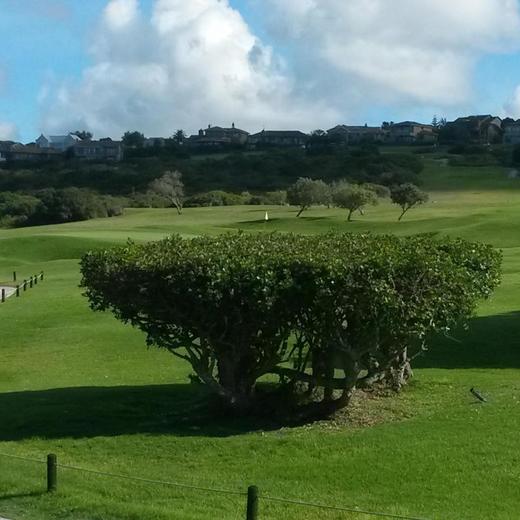 莫塞尔湾高尔夫俱乐部 Mossel Bay Golf Club｜乔治高尔夫｜南非高尔夫球场俱乐部｜非洲高尔夫 商品图2