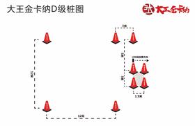 金卡纳D系列桩图201906期