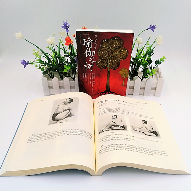 艾扬格大师经典珍藏版 艾扬格瑜伽之光 瑜伽之树两册套装