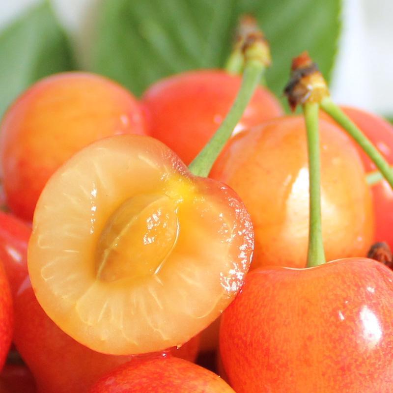 烟台黄水晶大樱桃