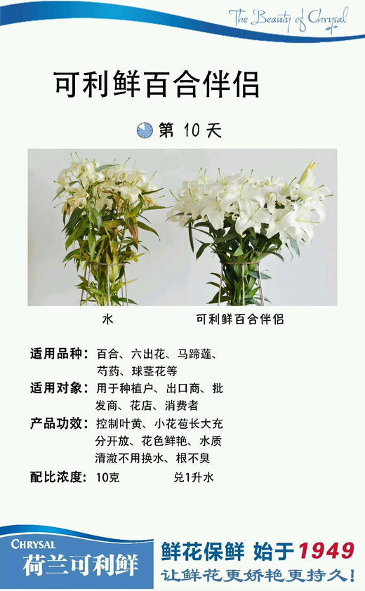 百合专用可利鲜 1袋（5包装，1包10克兑1000ml水） 商品图3