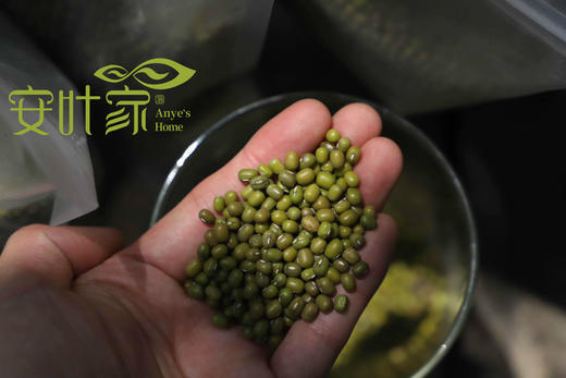 黄豆红豆黑豆绿豆 商品图2