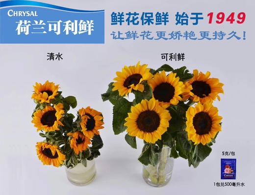 通用可利鲜 1袋（10小包装）10 商品图5