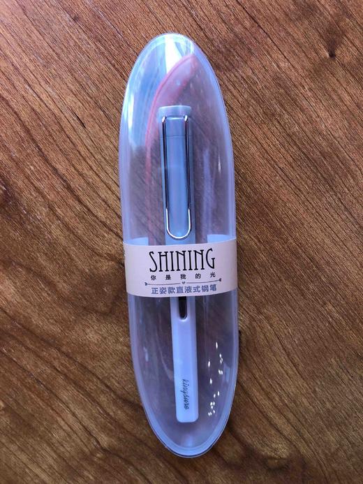 正姿款直液式钢笔 商品图0