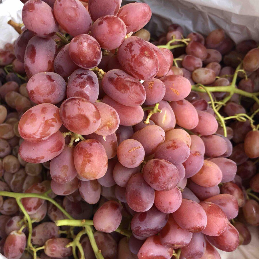 爆品澳洲玻璃脆无籽红提,很好吃!