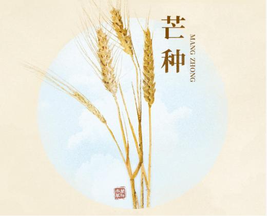 芒种顺时打卡 商品图0