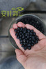 黄豆红豆黑豆绿豆 商品缩略图1