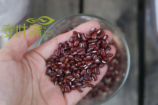 黄豆红豆黑豆绿豆 商品图4