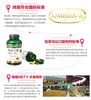 Nature's Bounty 自然之宝 鱼油 1400mg 130粒美国代购，无中文标签，介意慎拍 商品缩略图3