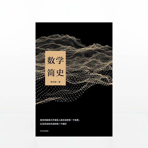 数学简史  科普读物书籍 生动讲述数学与人类文明的故事 商品图1