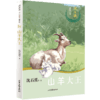 沈石溪十二生肖动物小说：四五六年级小学生 8-12岁必读课外书籍 图书故事书畅销书 睡前故事儿童文学读物 商品缩略图6