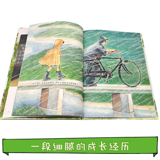 娃娃龙原创图画书 藏起来的鞋子 5-8岁 黄木华 商品图3