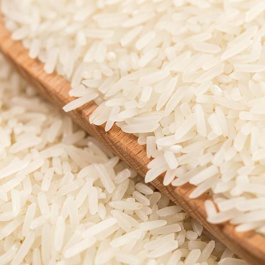 洋县香米10斤装大米 商品图1