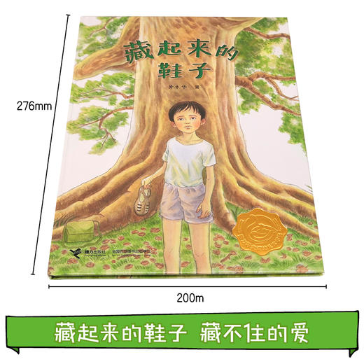 娃娃龙原创图画书 藏起来的鞋子 5-8岁 黄木华 商品图1