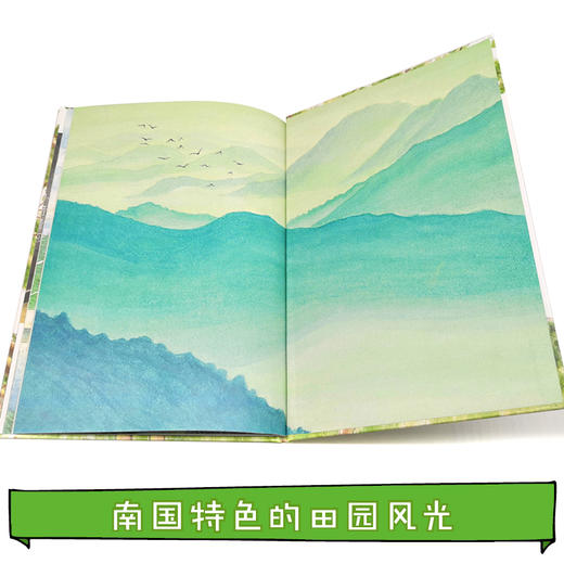 娃娃龙原创图画书 藏起来的鞋子 5-8岁 黄木华 商品图4