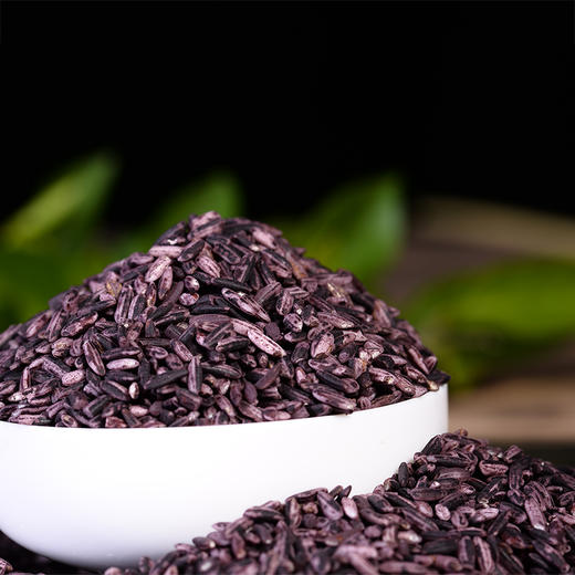 紫米 云南墨江紫米丨梯田紫米 商品图5