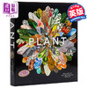 预售 【中商原版】草木之形 植物艺术巡礼 英文原版 Plant Exploring the Botanical World Phaidon Editors 家居与园艺 商品缩略图0