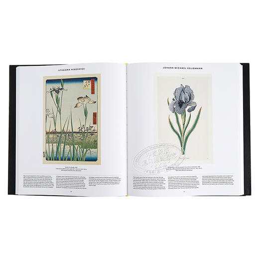 预售 【中商原版】草木之形 植物艺术巡礼 英文原版 Plant Exploring the Botanical World Phaidon Editors 家居与园艺 商品图1