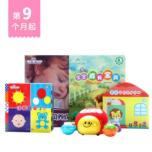 9月龄起订可可狮婴幼儿分月龄家庭早教产品 商品图0