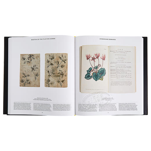 预售 【中商原版】草木之形 植物艺术巡礼 英文原版 Plant Exploring the Botanical World Phaidon Editors 家居与园艺 商品图4