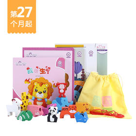 27月龄起订可可狮婴幼儿分月龄家庭早教产品