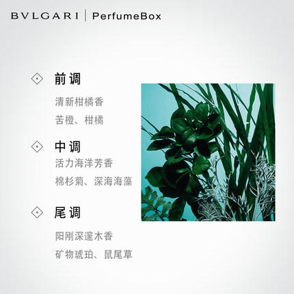 【宝格丽】Bvlgari/碧蓝男士淡香水 清新自然 商品图2