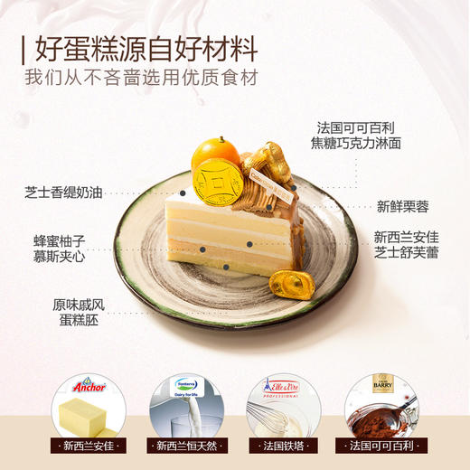 摇钱树 | 美时每客 商品图1