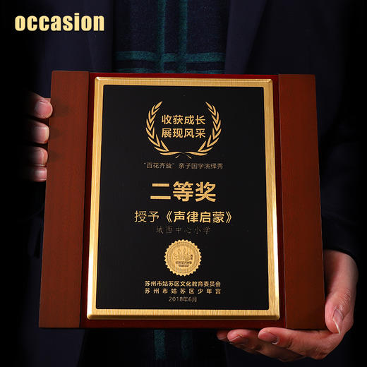 方形木质奖牌定制加盟代理牌匾荣誉证书颁奖制定金属授权牌定做 商品图2