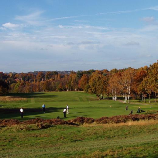 英格兰皇家阿什顿森林高尔夫俱乐部（老球场）Royal Ashdown Forest Golf Club(Old) | 英国高尔夫球场 俱乐部 | 欧洲高尔夫 商品图2