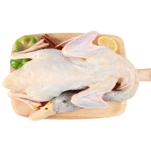 皖北 八里河散养嫩鸭 2只装 900g×2 商品图1