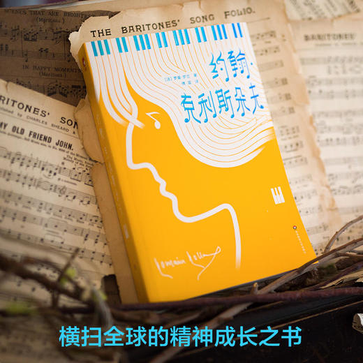 约翰 克利斯朵夫 傅雷经典全译本 法国长篇小说 精神成长之书 全三册 附赠精美明信片 商品图2