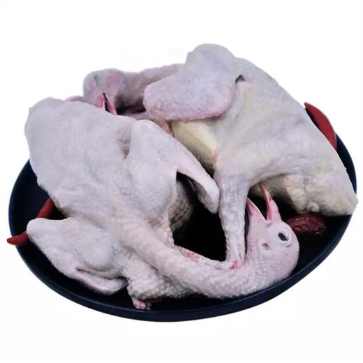 皖北 散养放养乳鸽 2只装 300g×2 商品图2