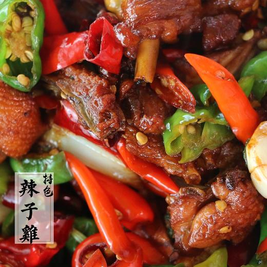 皖北 冷鲜童子鸡 2只装 600g×2 商品图2